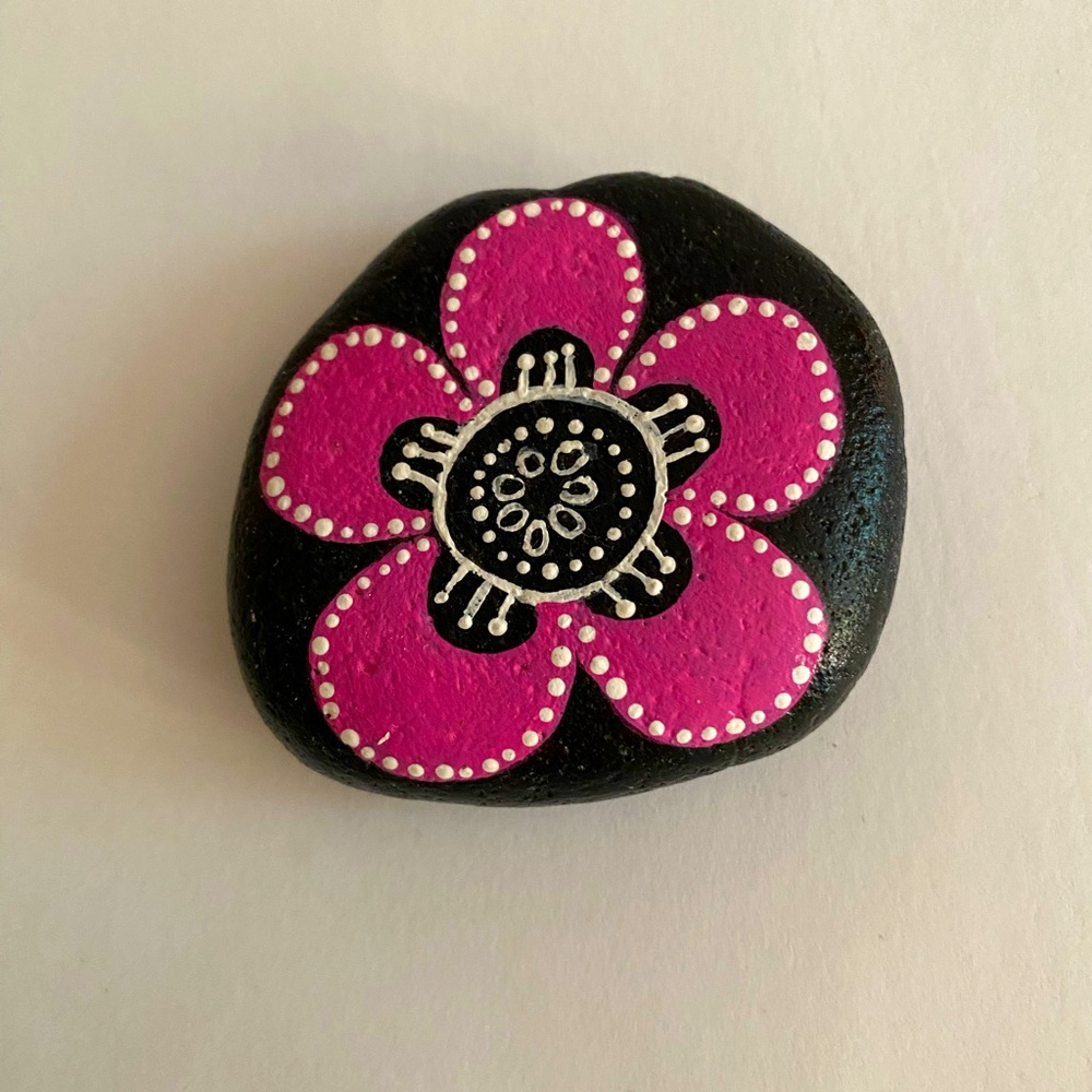 Hand painted river rock